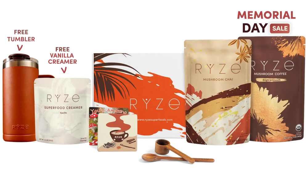 Boosted Chai Latte Bundle (Chai + Coffee) - Focus Coffee for Study Sessions