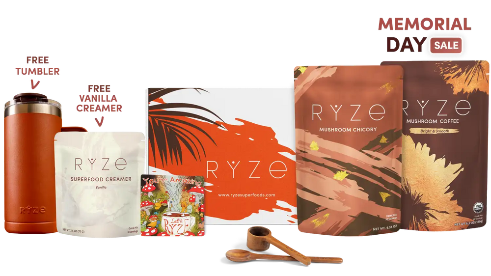 Lasting Energy Bundle (Chicory + Coffee) - Better Morning Coffee