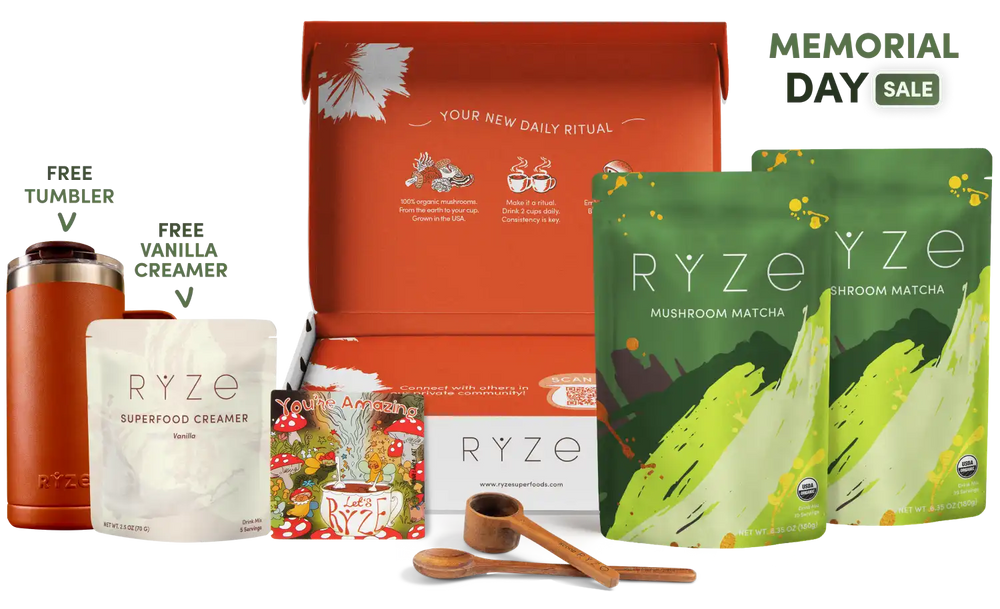 Mushroom Matcha Starter Kit (60 Servings) - Morning Focus Coffee