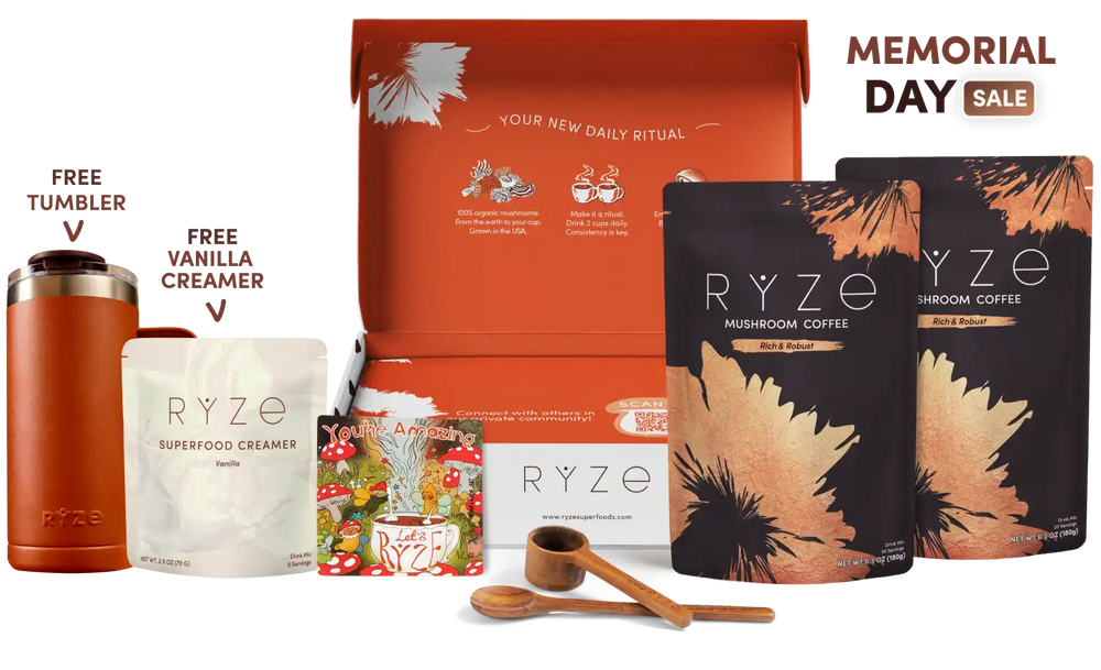 Mushroom Coffee Dark Roast Starter Kit (60 servings) - Smart Coffee for Workday Focus